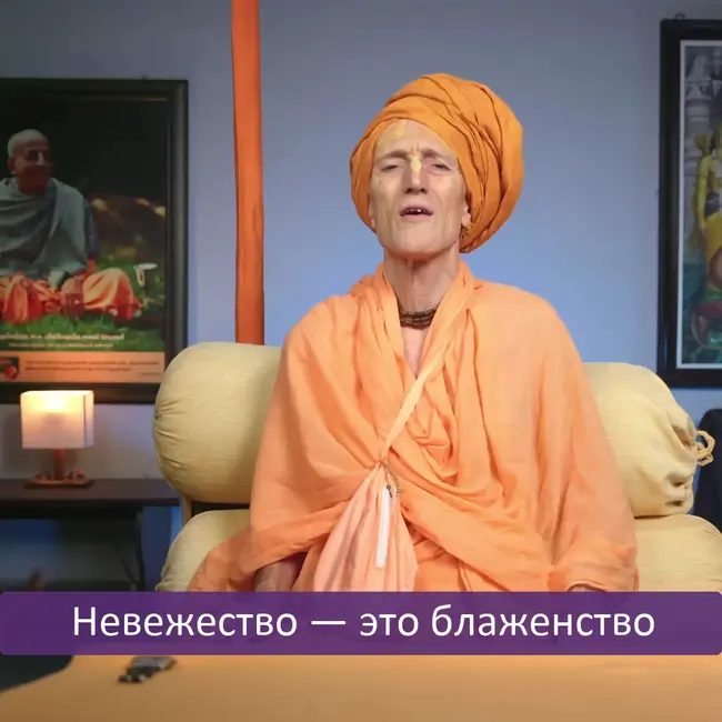 Невежество — это блаженство