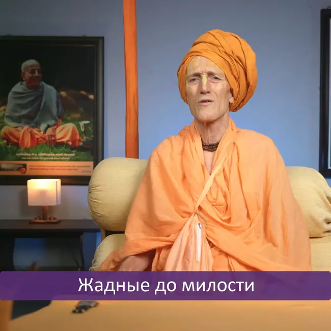 Жадные до милости