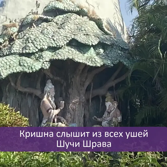 Кришна слышит из всех ушей | Шучи Шрава