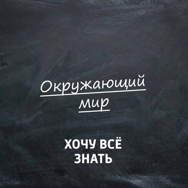 Химические реакции вокруг нас