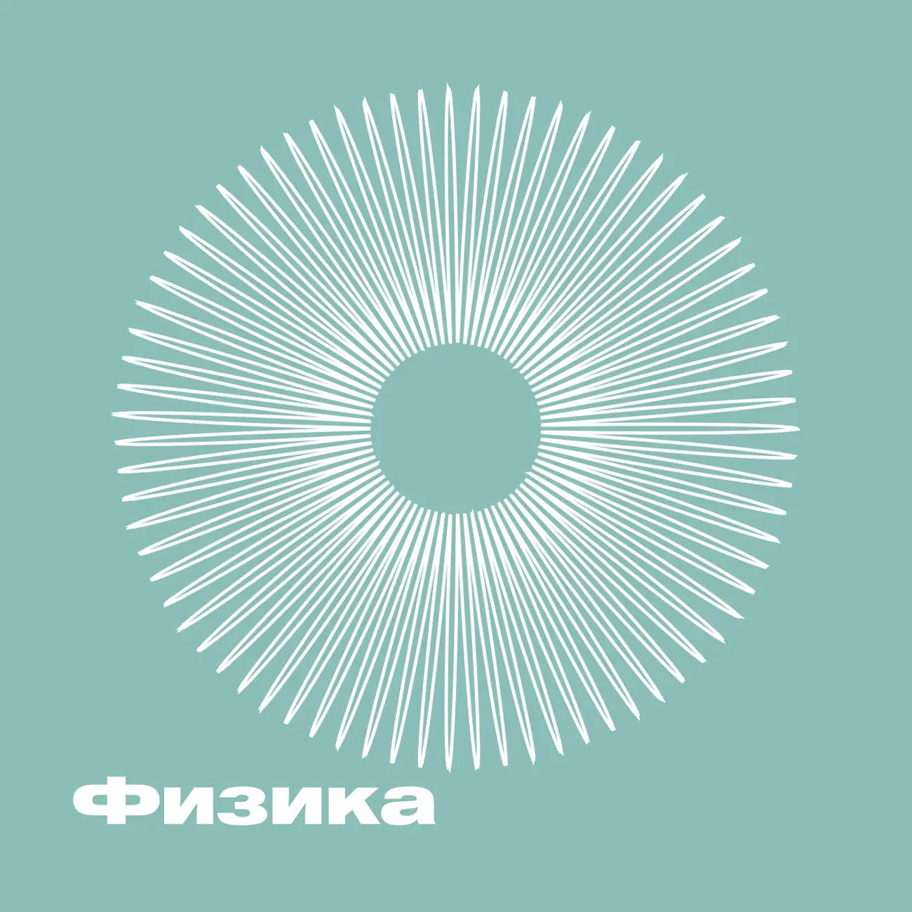ХВЗ. Физика