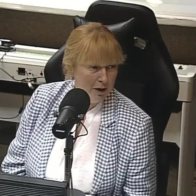 Елена Вартанова — о журналистике в XXI веке