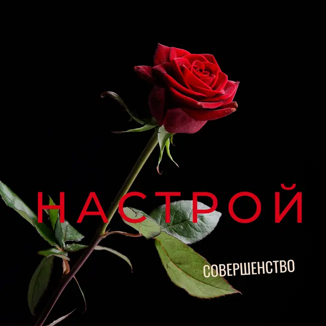 Настройка совершенства.