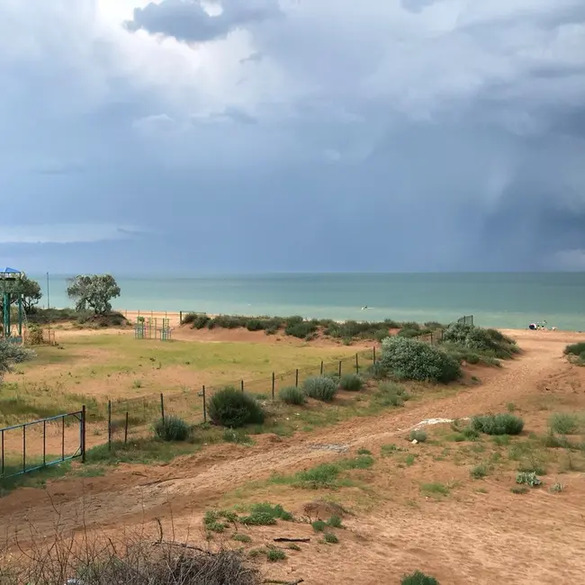 Грязевые вулканы и цветущие лотосы: что посмотреть в Темрюке