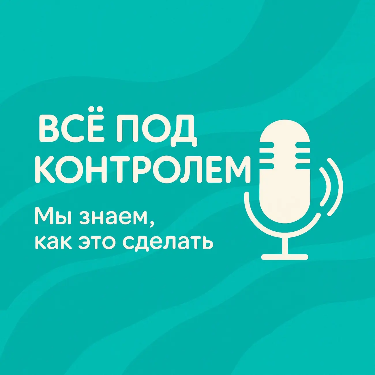 Все под контролем