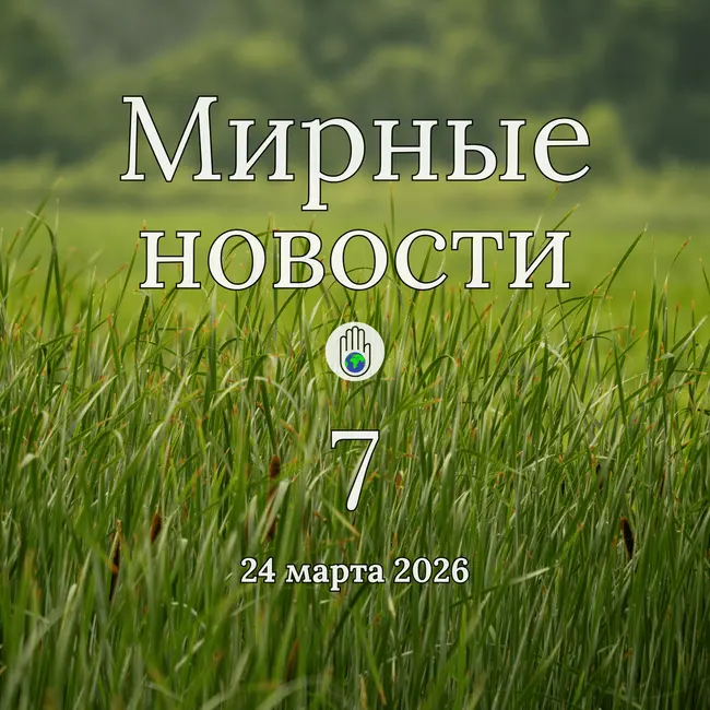 Мир начинается с правды. Мирные новости — 24 марта 2026