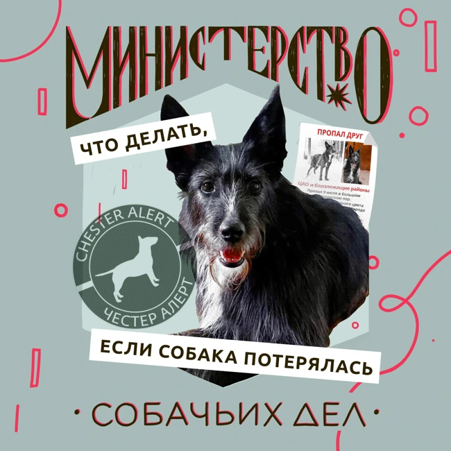 Собака потерялась: этот выпуск нужно послушать всем!