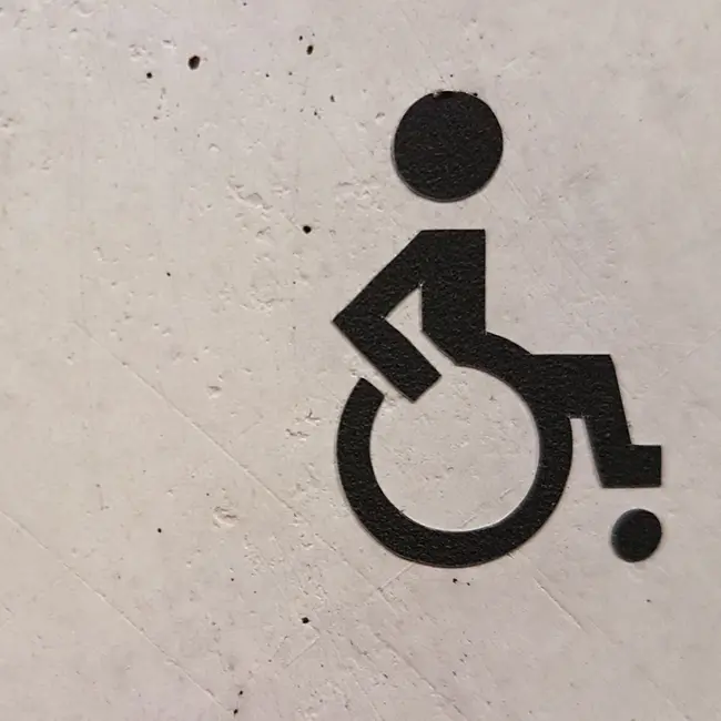 Жизнь и любовь на колесах