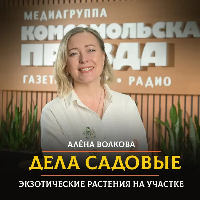 Какие экзотические растения можно посадить на своём участке и как за ними ухаживать