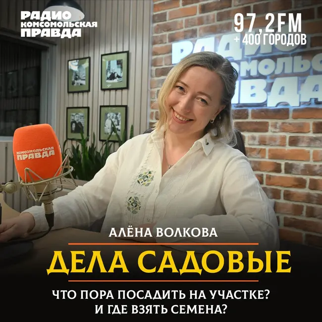 Что пора сажать на участке и где взять семена