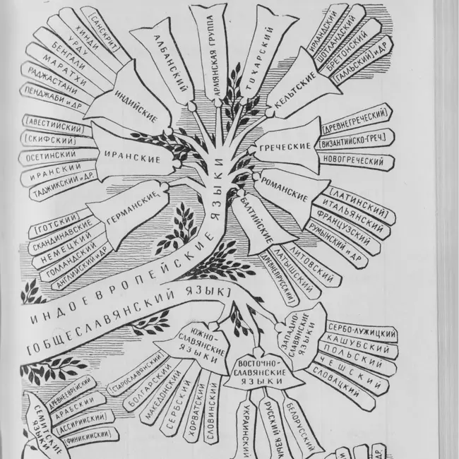 Русский язык в генеалогической классификации языков