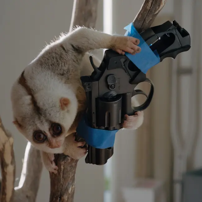 Теория удушья