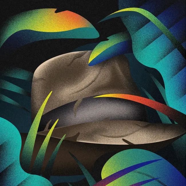 Южноазиаты интервьюируют Индиану Джонс