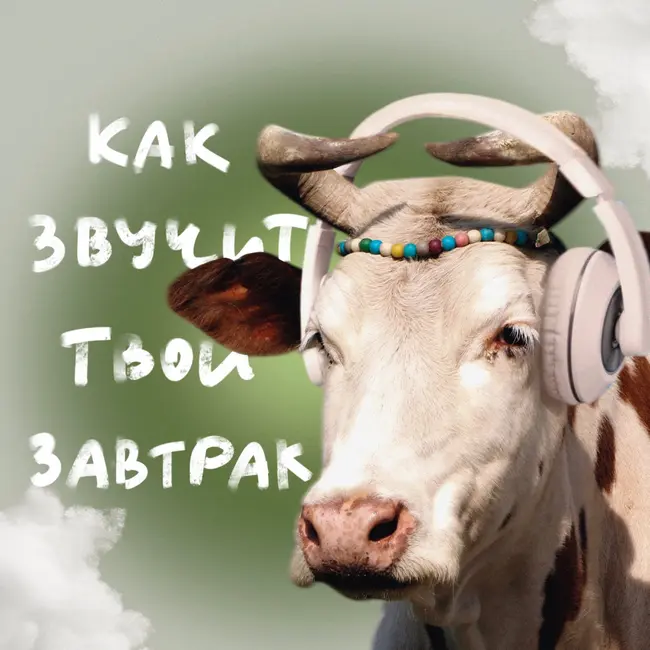 Даша DMA: «Лейблы —  нужно, но не необходимо»