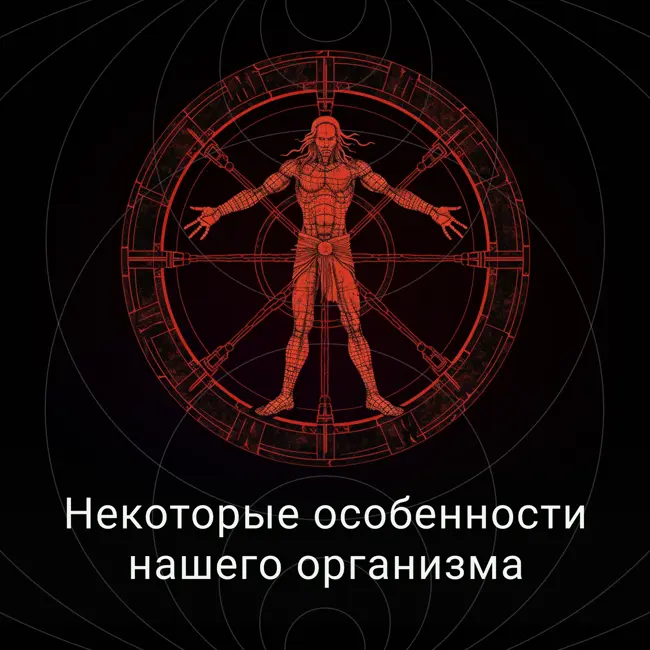 Некоторые особенности организма