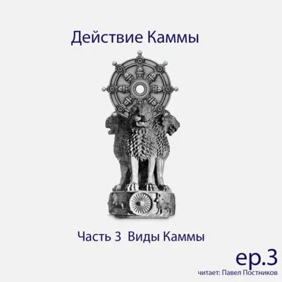 S6.ep.6 Действие Каммы - Виды Каммы