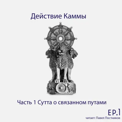 S6.ep.1 Действие Каммы - начало