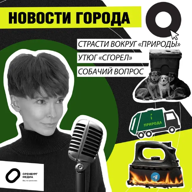 Страсти вокруг "Природы". Утюг "сгорел". Собачий вопрос. Новости города О. 7 февраля