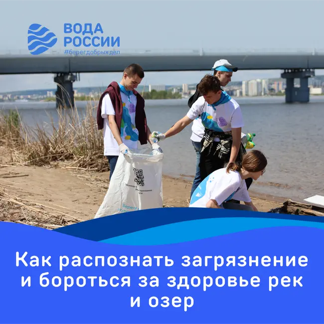 Защита водоёмов: взгляд изнутри