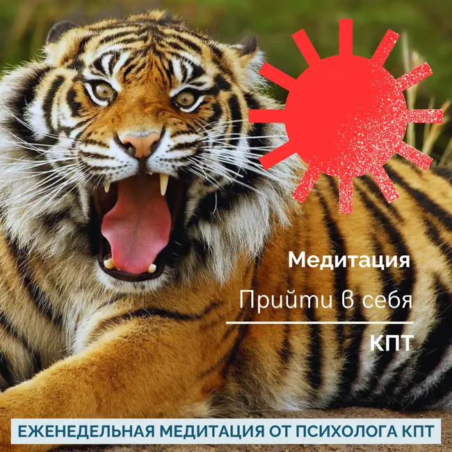 Welcome, Гнев! Welcome, Ярость!