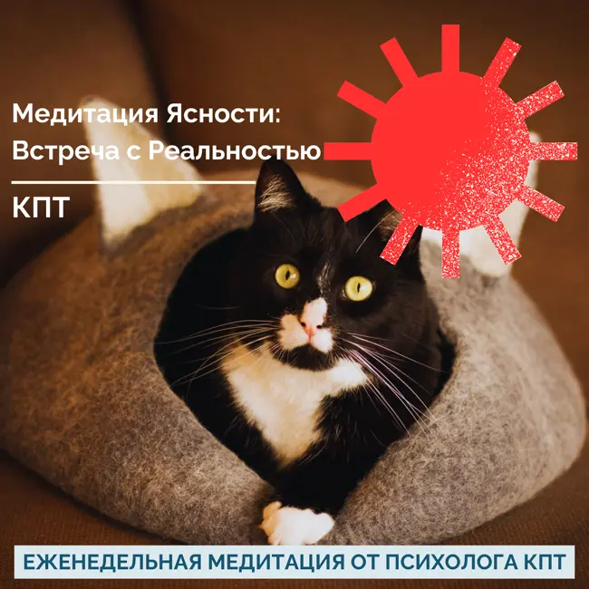 Медитация Ясности. Встреча с Реальностью.