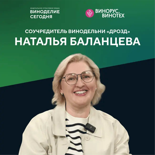 Винодельня «Дрозд»: как маркетологи нашли заброшенный виноградник и вдохнули в него новую жизнь
