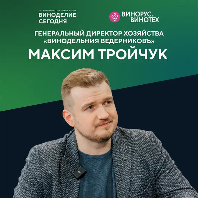 Максим Тройчук («Ведерников»): автохтоны Дона, прорывные технологии и вино за 1,5 миллиона