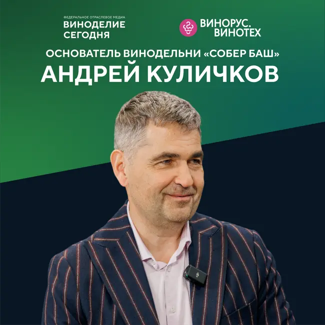 400 000 бутылок, энотуризм и автохтоны: Андрей Куличков о том, как работает винодельня «Собербаш»