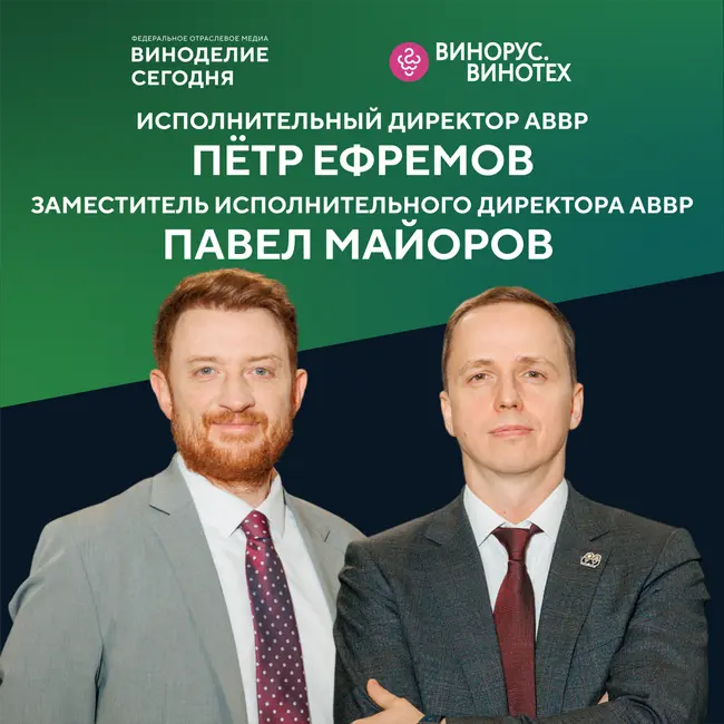 Пётр Ефремов и Павел Майоров (АВВР): на какой стадии российское виноделие и что его ждет дальше