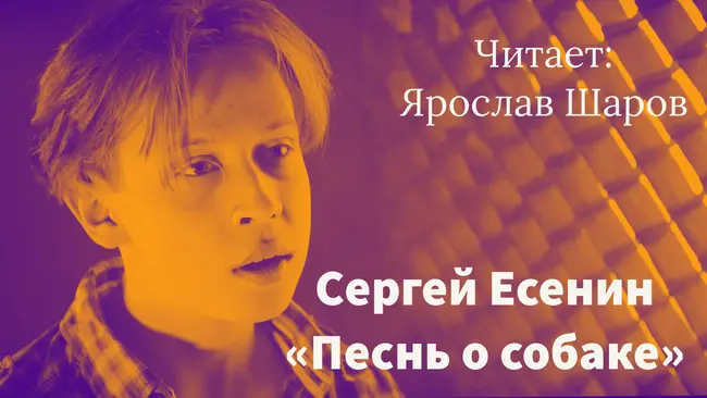 Сергей Есенин "Песнь о собаке" ("Утром в ржаном закуте..."). Читает Ярослав Шаров