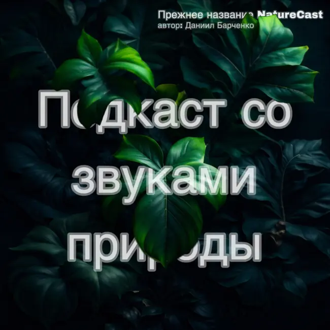 Легкий шум дороги для сна | Шум машин, несущихся по дороге | Белый шум города | Звуки для сна