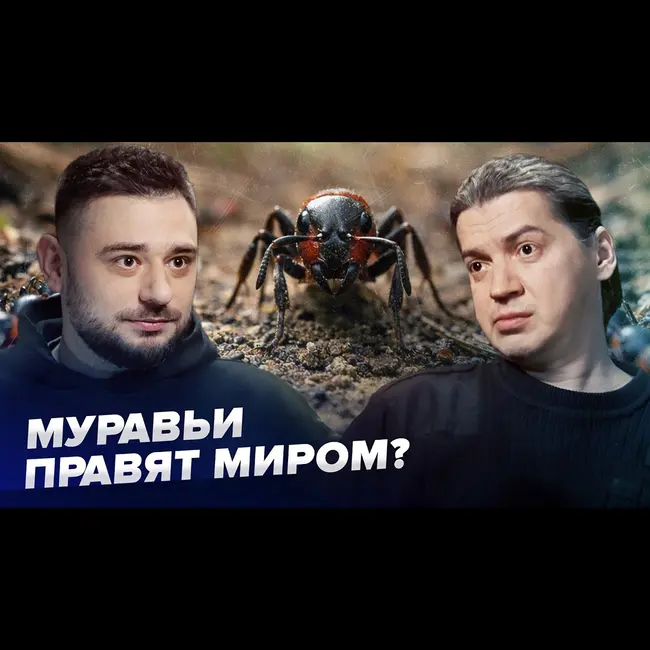 Муравьи исчезают. Кто на самом деле правит лесом | Данила Горюнов | Сортировочная