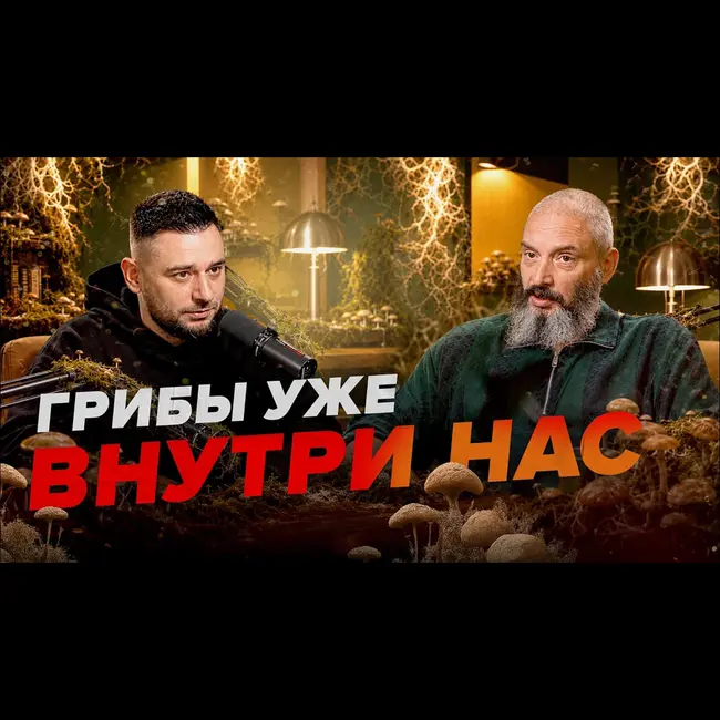 Грибы уже внутри нас | Михаил Вишневский | Сортировочная