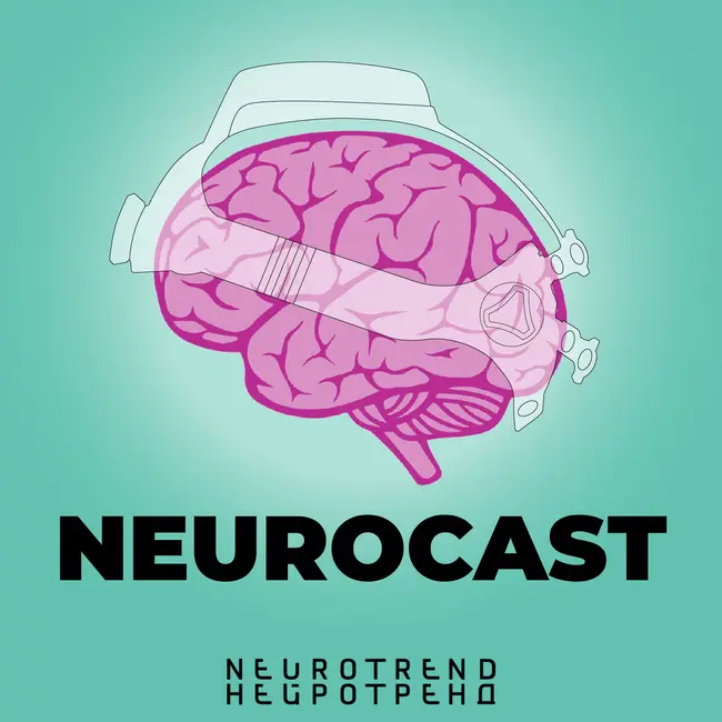 Как наш мозг принимает решения?