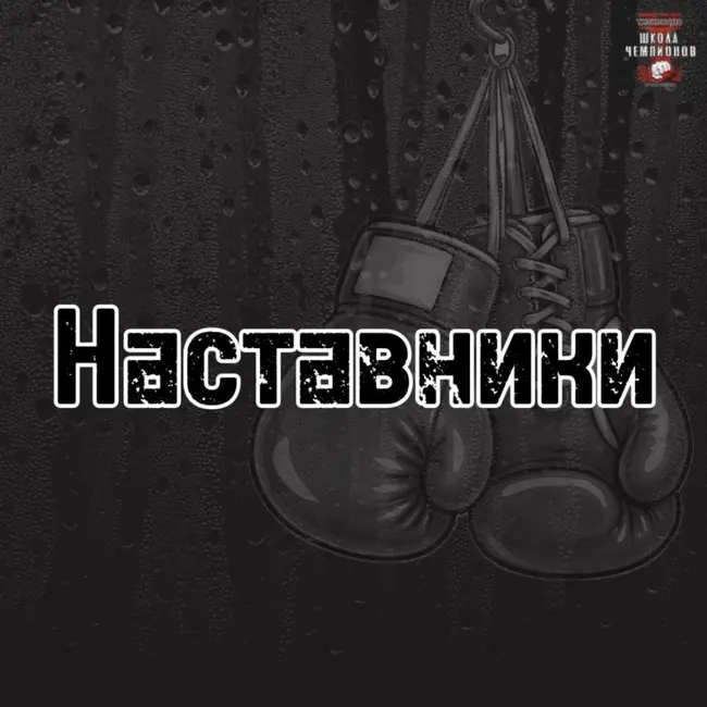 Чемпионат мира в Италии. Тимур Пархоменко, Наставники №2