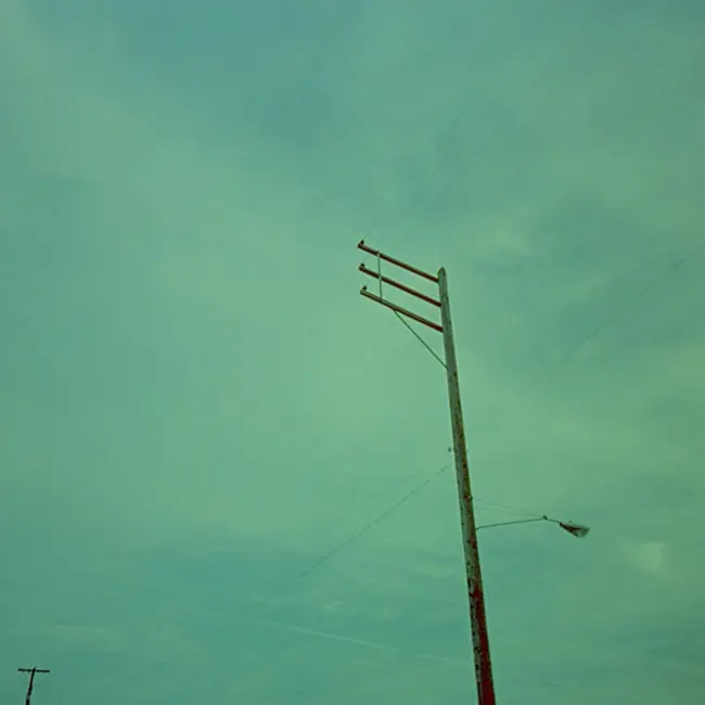 Буллинг в жизни и кино — «Слон», «Чучело», «Форма голоса», «Король свиней»