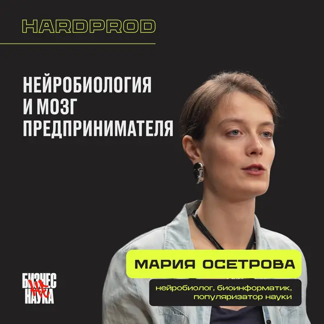 Как работает мозг предпринимателя: риск, мотивация, концентрация и устойчивость к стрессу