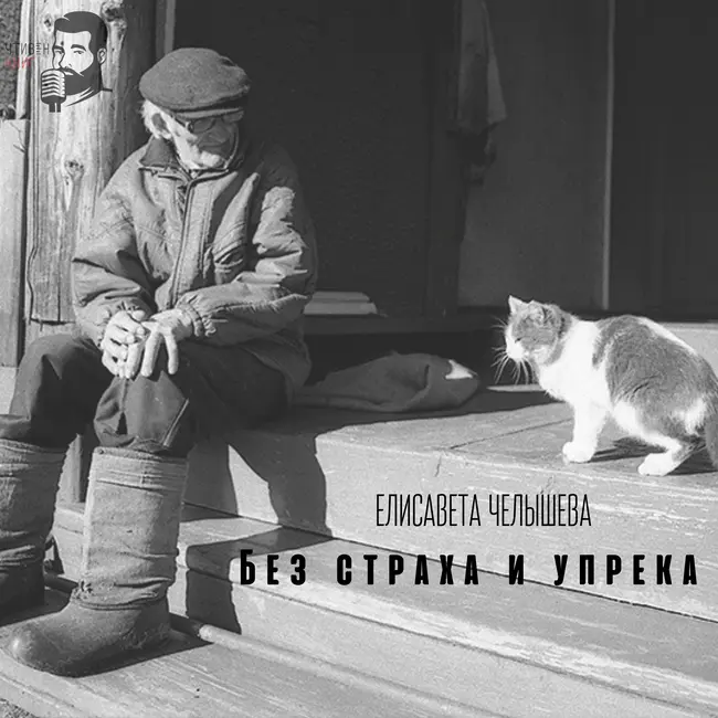 Елисавета Челышева - Без страха и упрека