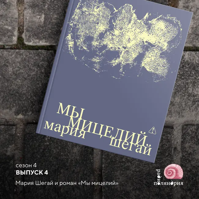 Мы мицелий. Мария Шегай и ее дебютный роман