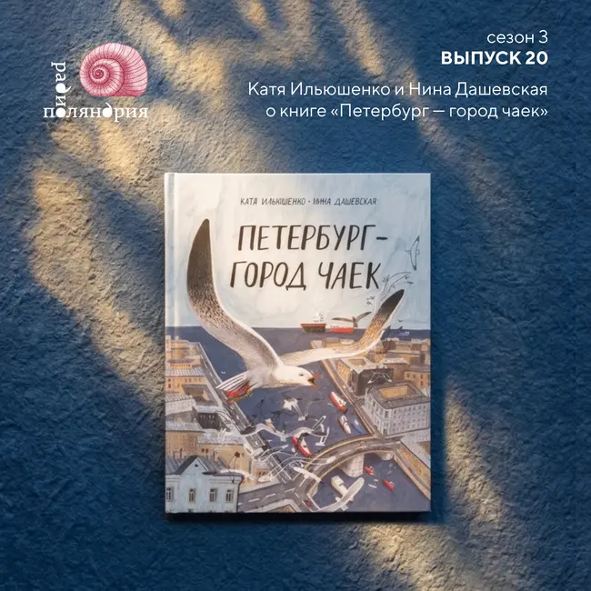 «Петербург — город чаек». Праздничный выпуск ко Дню города