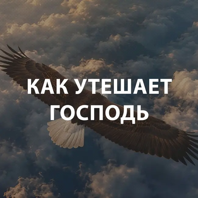 Чекалин Михаил - Как утешает Господь