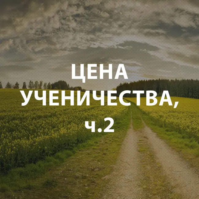 Пупышев Игорь - Цена ученичества, ч.2