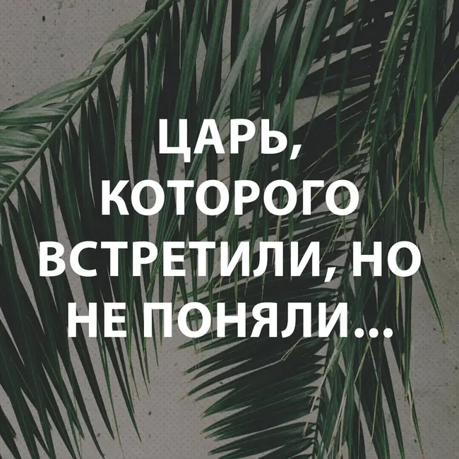 Пупышев Игорь - Царь, Которого встретили, но не поняли