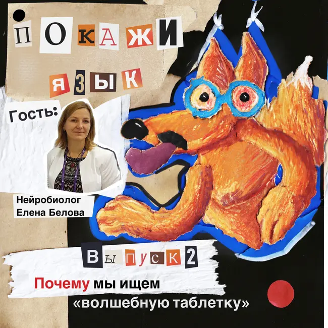 Почему мы ищем "волшебную таблетку"