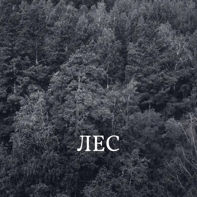 Лес