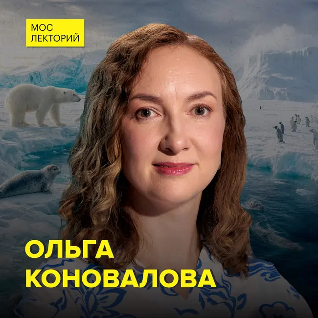 Ледники тают: что теряет планета - морской биолог Ольга Коновалова