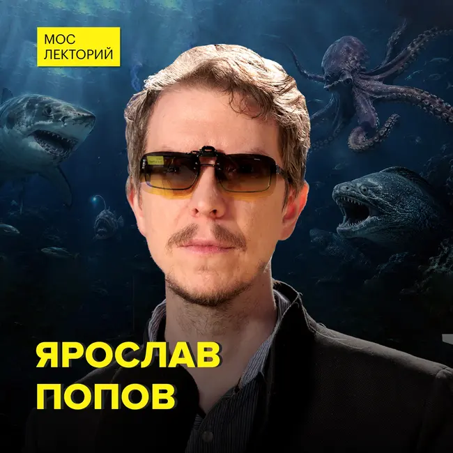 Самые опасные обитатели моря - палеонтолог Ярослав Попов