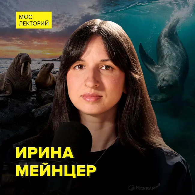 Удивительные млекопитающие океана - морской биолог Ирина Мейнцер