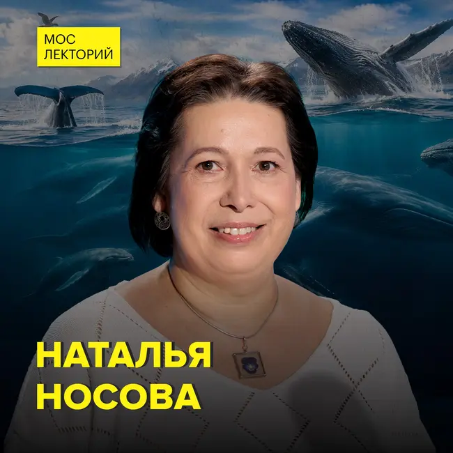 Тайны китов: от песен до семьи - научный сотрудник Дарвиновского музея Наталья Носова