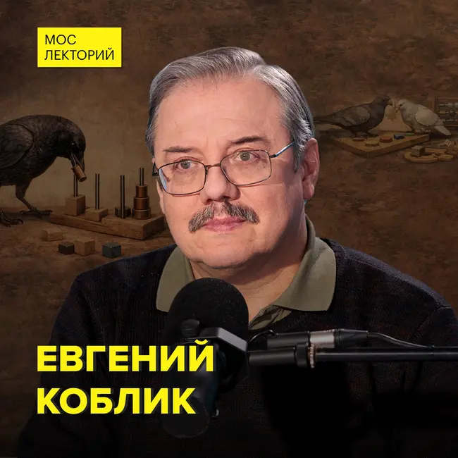 Как развит интеллект у птиц? - орнитолог Евгений Коблик